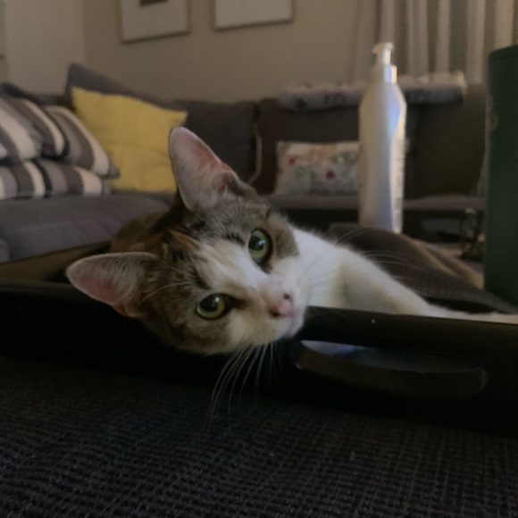 โจ Closet Info & Sales โจ - Picture 2 of 2